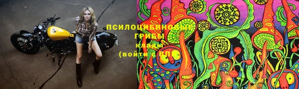 бутират Богданович